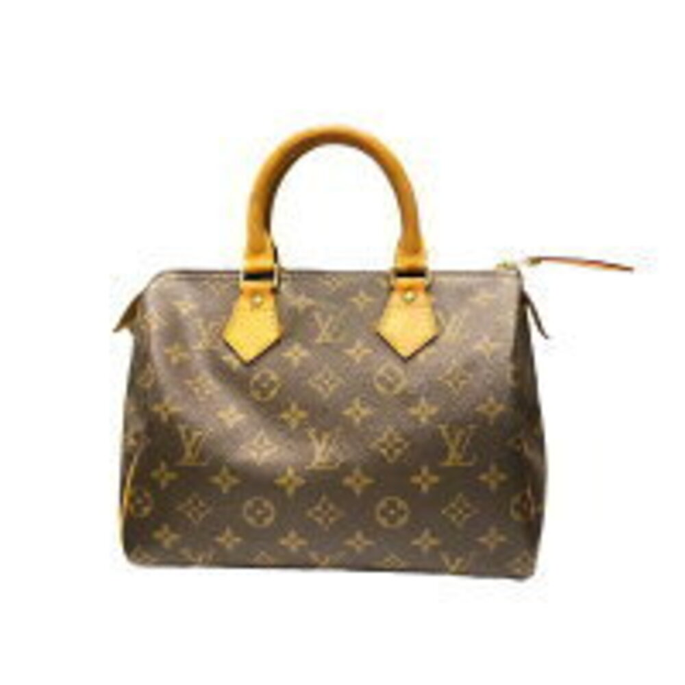 Louis Vuitton Monogram Speedy Canvas Leather Boston Bag HO